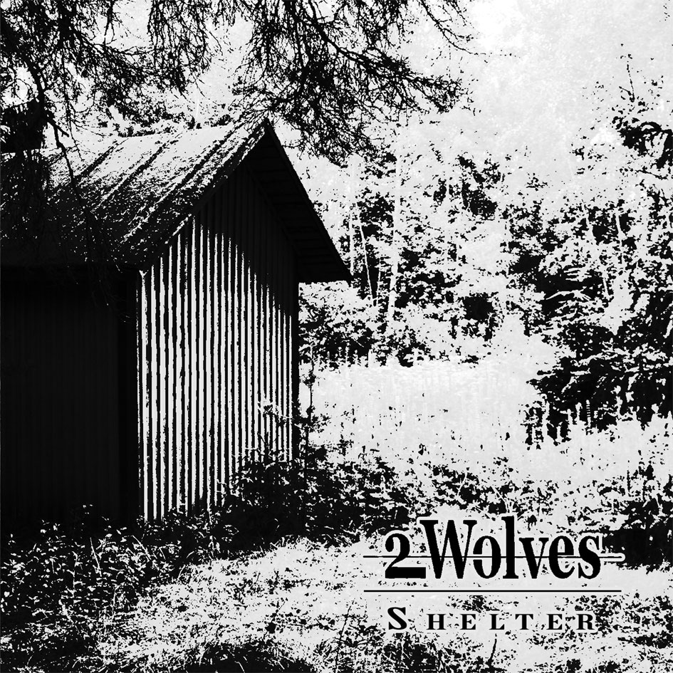 2 Wolves - Shelter CD